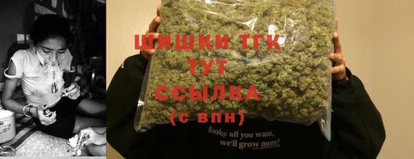 МДПВ Пенза