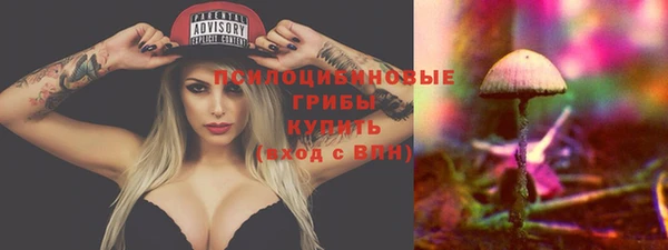 mdpv Осинники