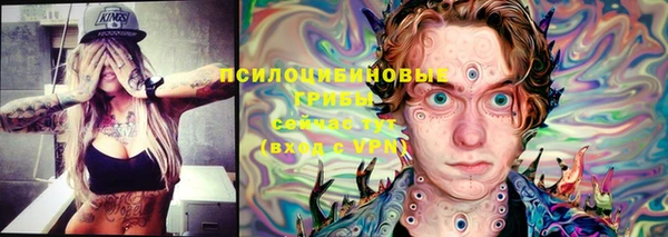 mdpv Осинники