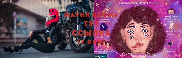ГАЛЛЮЦИНОГЕННЫЕ ГРИБЫ Остров