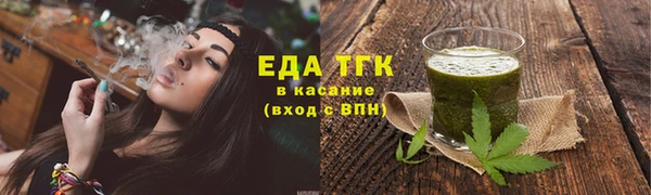 гидра Вязьма