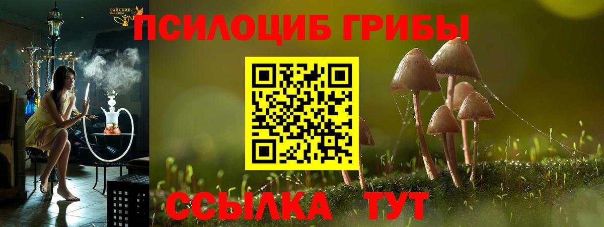 Псилоцибиновые грибы MAGIC MUSHROOMS  Аша 